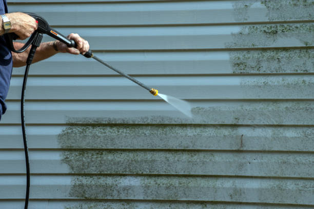 Best Roof Pressure Washing  in Cedar Rapids, IA