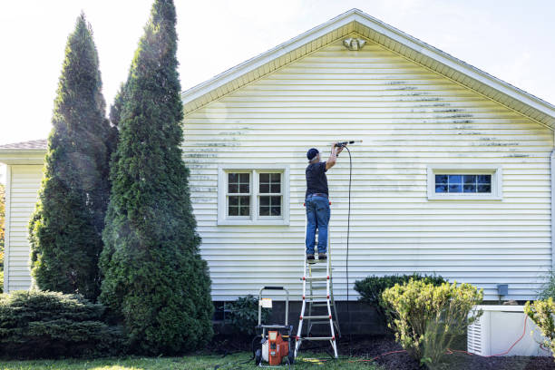 Best Roof Power Washing Services  in Cedar Rapids, IA