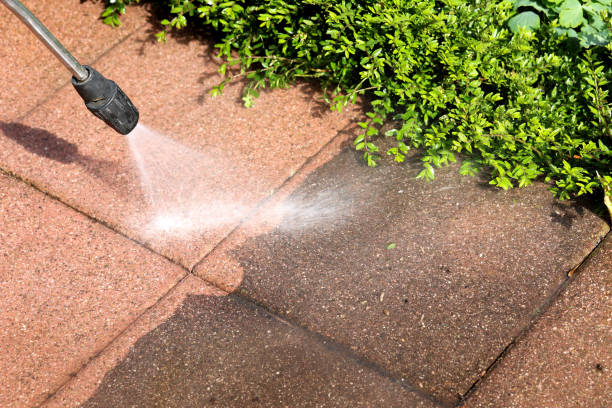 Best Exterior Home Cleaning  in Cedar Rapids, IA